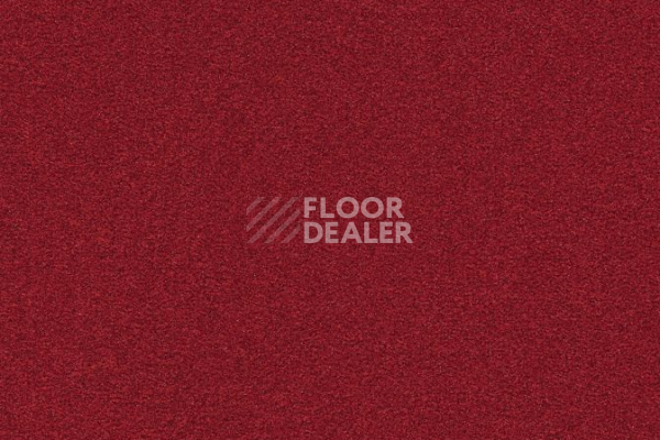 Ковровая плитка Interface Heuga 725 672514 Red фото 1 | FLOORDEALER
